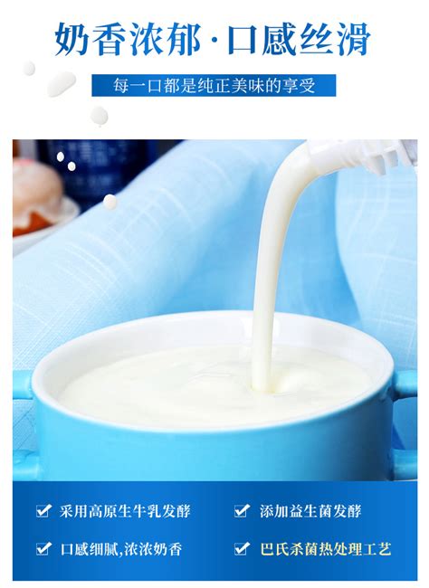 小西牛 桶装老酸奶益生菌发酵4.0g蛋白质原味老酸奶1kg 新日期