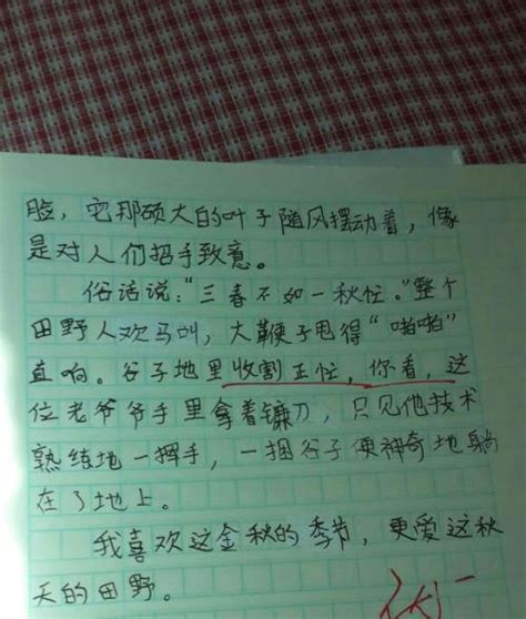 折纸鹤写日记200字(折纸鹤的日记150字) | 抖兔教育