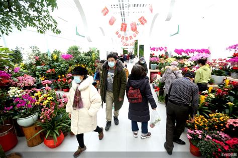中国鲜花行业发展前景_太平洋时尚网知识库