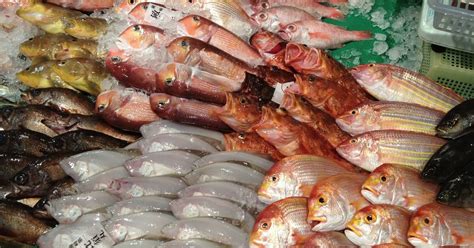 鱼市摊上的生鱼食高清图片下载-正版图片504569977-摄图网