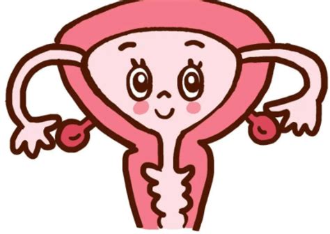 子宫颈图片