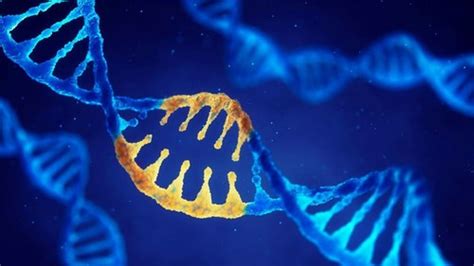 CRISPR在美国首次用于人体试验