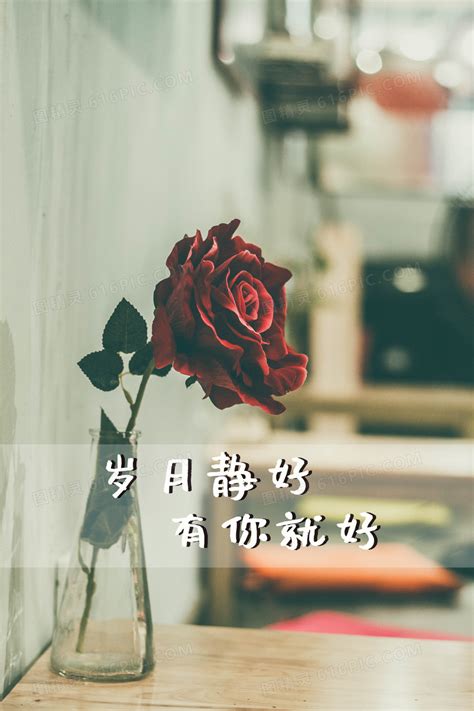 岁月图片