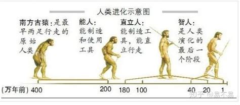 科学家：人类是从鱼进化来的，化石为证，揭秘鱼到人类的进化过程_生活_地球_祖先