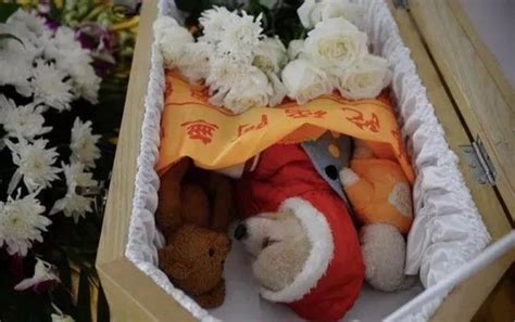 为死去的宠物举行葬礼真的有意义和必要性吗？