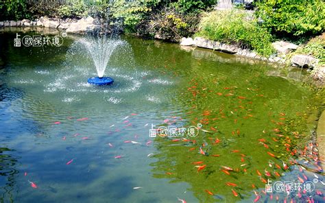 景观鱼池智能高效生态活水系统让养鱼变得简单有趣 ，让池水变得健康洁净。-企业官网