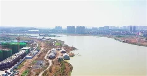 衡阳市人民政府门户网站-酃湖大道（衡州大道—雁城大道）工程正式开工