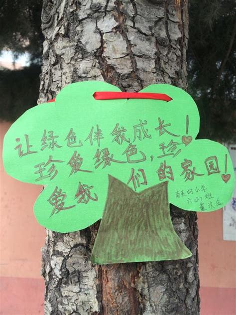 挂在树上的寄语,关于树的语录,挂在树上的卡片_大山谷图库