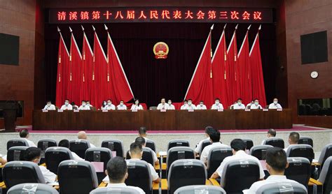清溪镇第十八届人民代表大会第三次会议召开，上半年经济运行呈现“新”与“进”态势