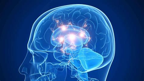 科学家发现大脑中能够识别精神分裂症的物理证据_凤凰网