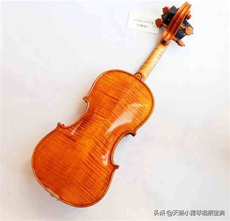 小提琴一般多少钱（怎样网购一把小提琴） - 上海资讯网