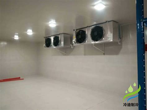 安装设计一个-20℃冷冻库每平方米的造价多少钱_冷迪制冷