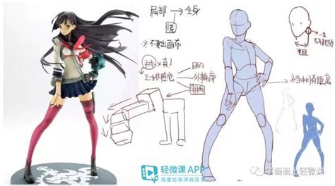 漫画人体入门图片