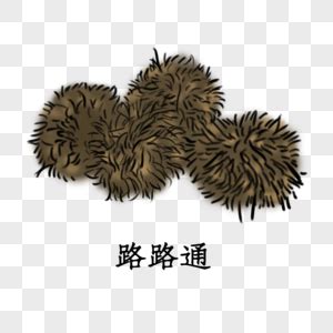 中药路路通图片