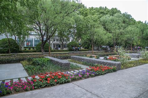 四个广场：同济大学四平路校区景观微更新，上海 / 同济大学建筑设计研究院 : 用4个停车场地创造绿色空间