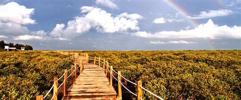 金海湾红树林生态旅游区在哪里 门票信息及交通攻略_旅泊网