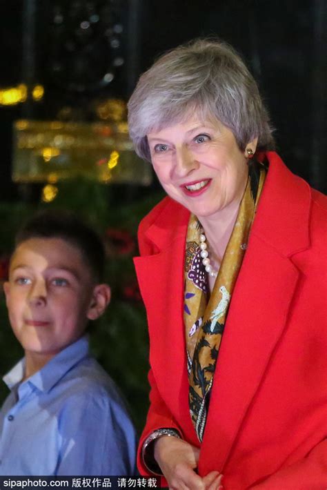 英国首相与儿子合影首次曝光 约翰逊眼神亮了_手机新浪网