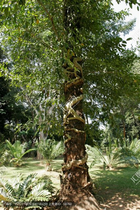 中国科学院西双版纳热带植物园景观生态研究组