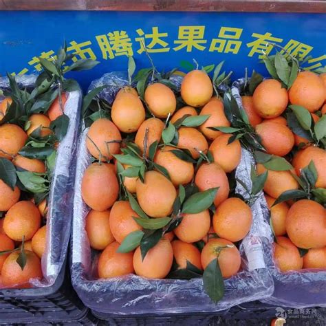 海吉星水果批发市场 广东东莞 腾达-食品商务网