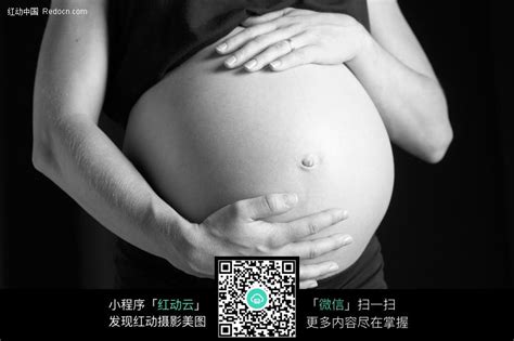 孕妇的大肚子图片免费下载_红动网