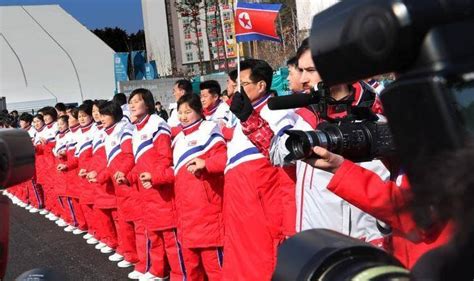 朝鲜半岛旗 - 快懂百科