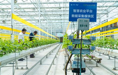 智慧农业的基本概念与核心逻辑-南京及时雨农业科技有限公司