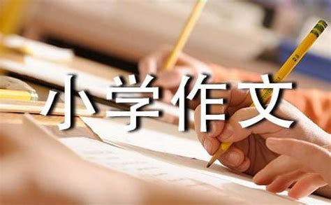 中国传统文化小学作文300字（常用9篇）