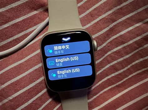 Apple Watch 设置详解 超详细教程（精品）-百度经验