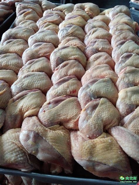 冷冻鸡产品_冷冻鸡肉鸡脯肉 清真食品大宗批发 冷冻鸡产品供应 - 阿里巴巴