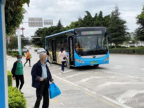 2020年青岛公交停运的线路有哪些和调整线路信息_旅泊网