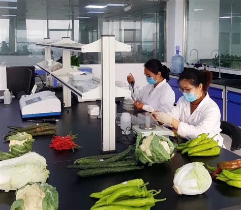 蔬菜农药残留检测标准 - 深圳佳惠鲜农副产品配送有限公司