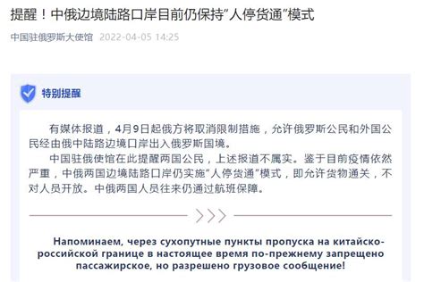 中国驻俄大使馆为俄境内本国公民推出有关新冠疫情问题的疑问医答专栏 - 俄罗斯卫星通讯社
