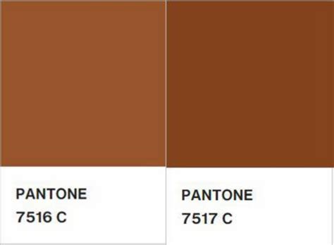 什么颜色可以调成棕色 可以用哪些颜色来混合调成棕色_知秀网