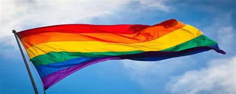 彩虹旗是什么意思：同性恋标志(LGBT运动的标记)_小狼观天下