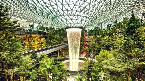 2021新加坡的滨海湾花园是去新加坡的必去景点之一，这里是植物的天堂，也是公园园艺的艺术典范，在这座花..._新加坡滨海湾花园-评论-去哪儿攻略