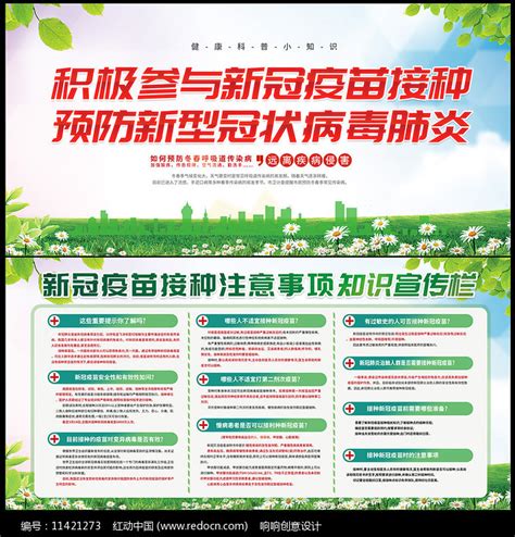 新冠疫苗接种禁忌症和注意事项宣传展板图片下载_红动中国