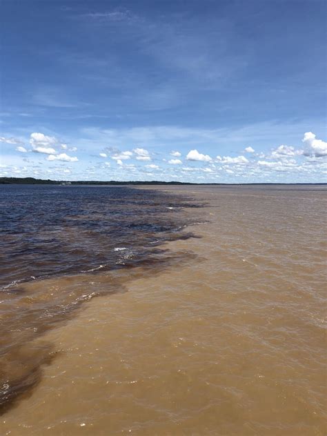 亚马逊河地图-亚马逊河地图,亚马逊河,地图 - 早旭阅读