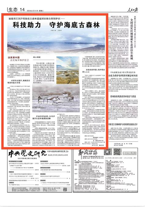 福建晋江深沪湾的海底古森林遗迹，是一种世界罕见的自然景观|深沪湾|森林遗迹|晋江_新浪新闻