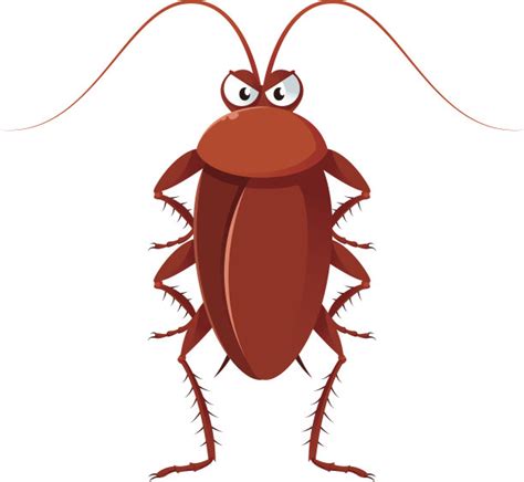 蟑螂,卡通,壁纸,害虫,甲虫,褐色,式样,水平画幅,高视角,可爱的设计模板,汇图网www.huitu.com