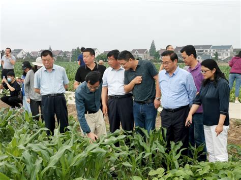 如皋农业重大项目建设如火如荼 全市投资1000万元以上项目31个_江南时报