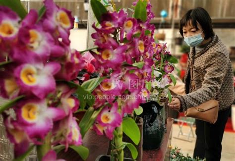 河北邯郸：花市年味浓 鲜花生意红-人民图片网