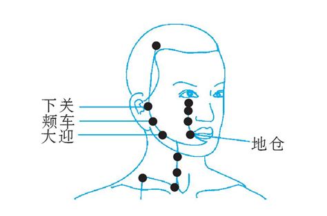 颊车的准确位置图图片