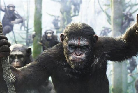 《猩球崛起2》看一只猩猩是如何一步步颠覆人类世界的（03）_高清1080P在线观看平台_腾讯视频