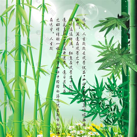头像是竹子的好不好,竹子做微信头像的寓意,竹子图片壁纸_大山谷图库