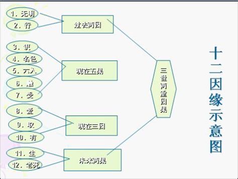 十二因缘图解图片