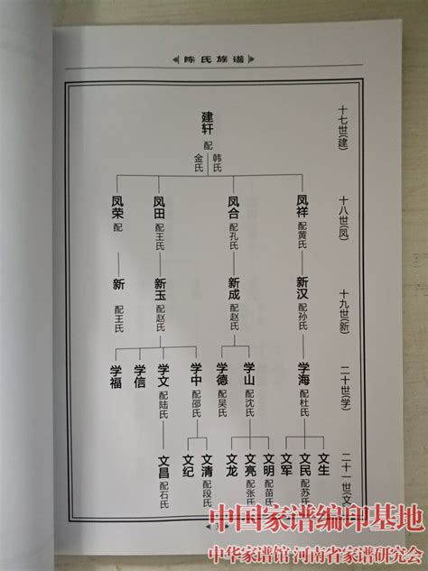 古博陈氏族谱世系图