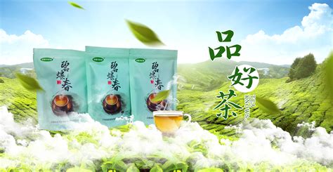 绿茶怎么泡 绿茶冲泡方法【步骤、注意事项】-润元昌普洱茶网