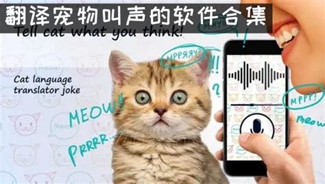 狗语翻译器正版-狗语翻译器下载官方版app2023免费下载安装