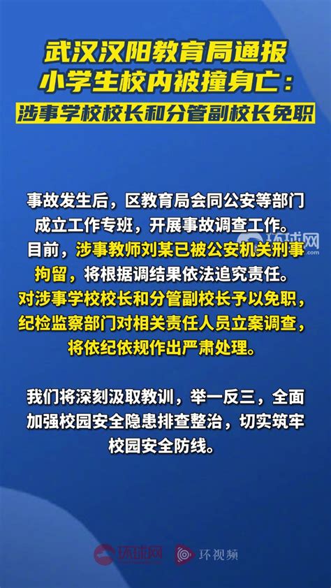 武汉汉阳区教育局通报小学生校内被撞身亡：涉事学校校长和分管副校长免职_腾讯视频