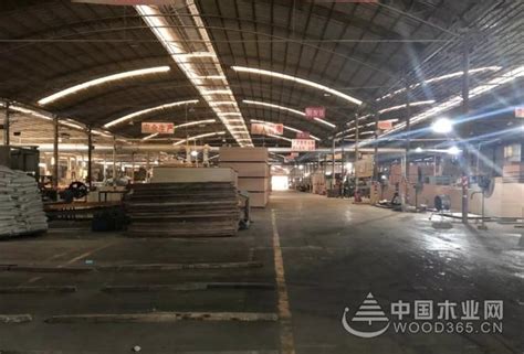 来宾兴宾区区长到玉林博白县进行木材产业考察-中国木业网